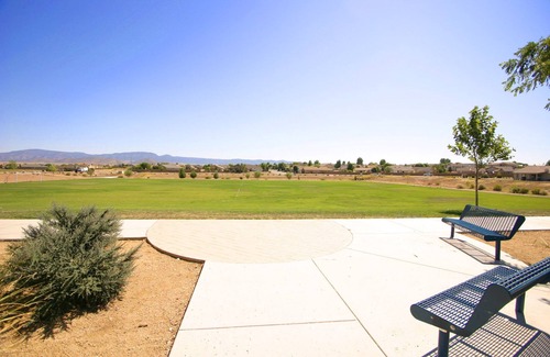 View Point House | Pet Friendly House with Beautiful backyard views of Mountains and Wildlife!