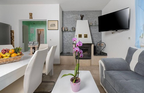 Zupanici House | Pet friendly home in Nedescina