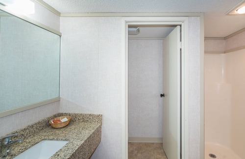Telluride Hotel | Pet-Friendly Hotel Room With Kitchenette at Mountainside Inn