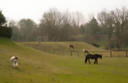 Hay on Wye House | Pet-Friendly Logburner Horse Stable Views