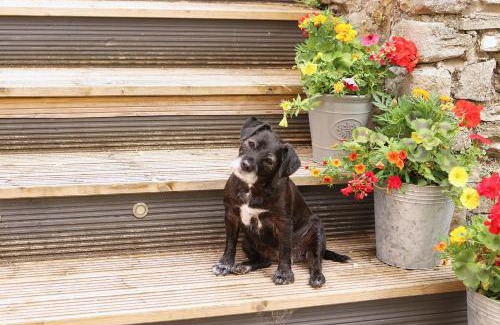 Hay on Wye House | Pet-Friendly Logburner Horse Stable Views