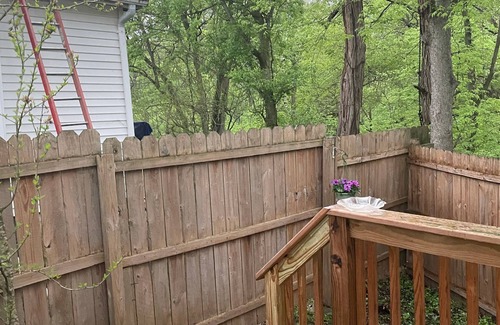 Madison Cottage | Pet friendly Nature Cottage: deck, trails, fire pit, creek, & historic district