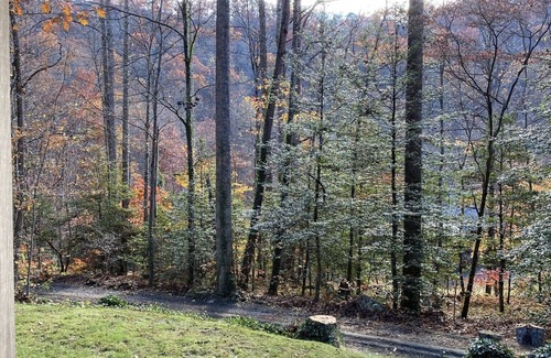 Cherokee Cabin | Pet Friendly, Polar Express, Hot tub, babbling creek