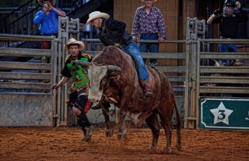 River Ranch Apartment | Pet Friendly River Ranch Escape 2 Beds