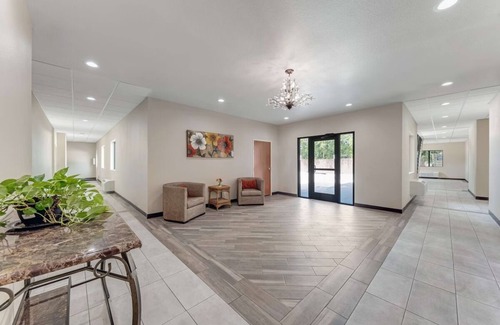 Nevada Street Hotel | Pet-Friendly Room Near The Alamo w/Free Breakfast Included - DT Location