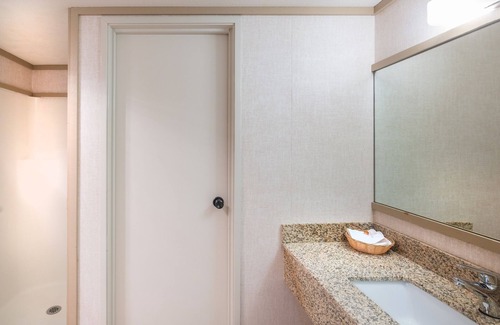 Telluride Hotel | Pet-Friendly Room With King Bed on the River