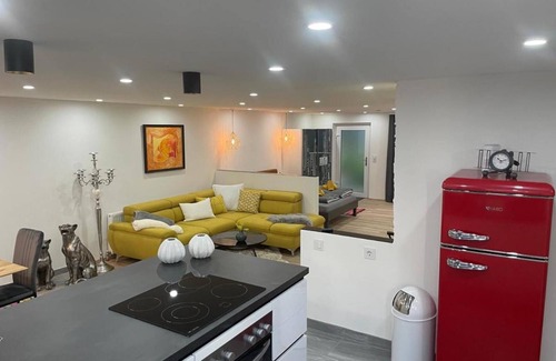 Innsbruck Apartment | Pet-Friendly 'Stylish basement loft' Apartment with Wi-Fi