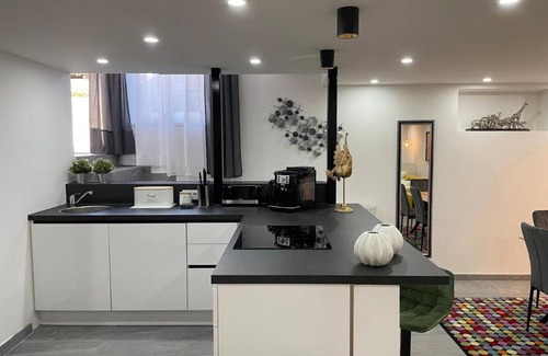 Innsbruck Apartment | Pet-Friendly 'Stylish basement loft' Apartment with Wi-Fi