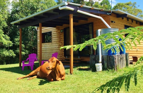 Hunchy Cabin | Pet Friendly Timber Gym Cabin
