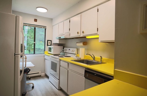 Waterville Valley Condo | Pet Friendly Cozy Condo in Family Friendly Waterville Valley Resort (WHB13V)