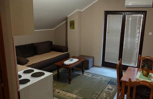 Bajina Basta Apartment | Pet Omorika