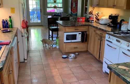 Albany House | Pet-welcoming casual hippie home in North Berkeley Restaurant/Shopping District