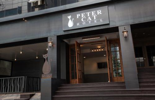 Daeheung-dong Hotel | Petercat Hotel Shinchon