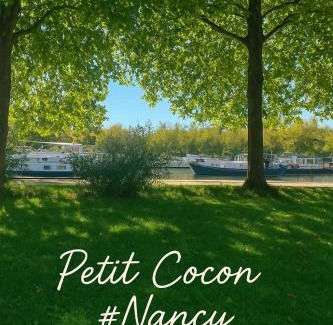 Rives de Meurthe Apartment | Petit Cocon des Rives Proche Stanislas
