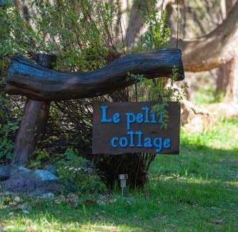 Trevelin Ski Chalet | Petit Cottage