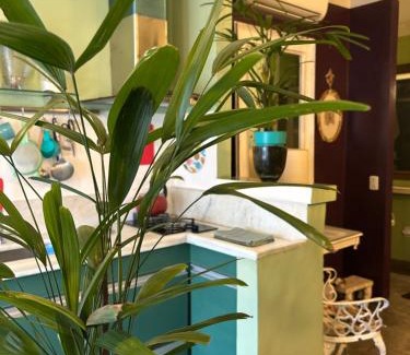 Pelourinho Apartment | Petit Jardin