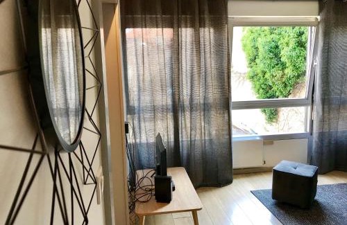 Saint Nicolas - Charles III - Ville vieille - Trois Maisons - Leopold Apartment | Petit loft Drouot