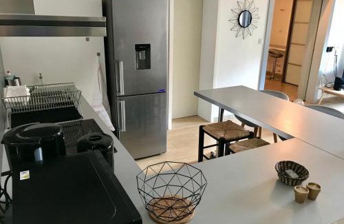 Saint Nicolas - Charles III - Ville vieille - Trois Maisons - Leopold Apartment | Petit loft Drouot