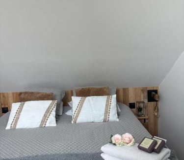 Villemareuil House | Petit Nid Douillet avec parking privé