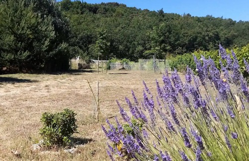 Menerbes House | Petite Maison au Pied du Luberon