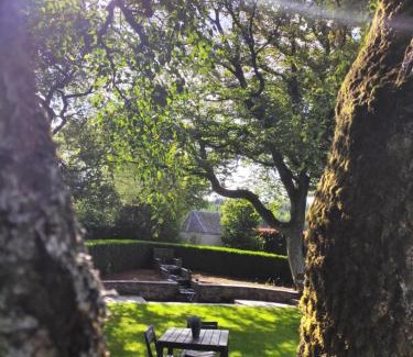 The Ardennes Bed & Breakfast | Petites-Tailles - chambre d'hôtes