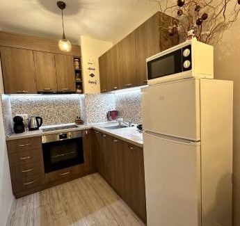Borovets Apartment | Petkovi Аpartments, Borovets Gardens - One-bedroom and Two-bedroom apartments