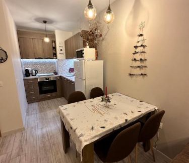 Borovets Apartment | Petkovi Аpartments, Borovets Gardens - One-bedroom and Two-bedroom apartments
