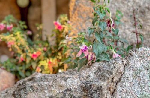 Santa Teresa di Gallura House | Petra Maris Luxury Rooms