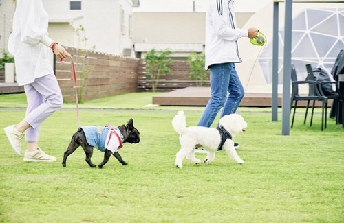 Katakai RV Rental | Pets allowed 7m dome tent B Accommodation pla/Sanbu District Chiba