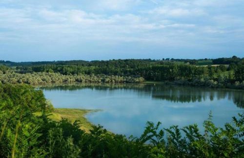 Peyrusse-Grande House | Peyrusse Peace Pool & Charm