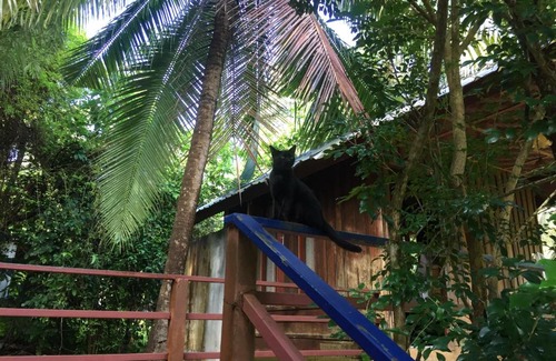 Ranong Resort | Phayam Garden View