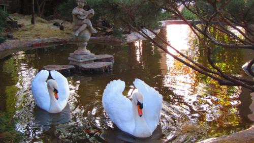 Centurion Bed & Breakfast | Pheasant Hill Bed and Breakfast