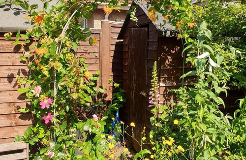 Glastonbury House | Phoenix Rising 2