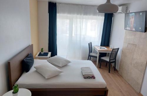 Sector 1 Apartment | Piata Victoriei Arcul de Triumf Studio Apartment