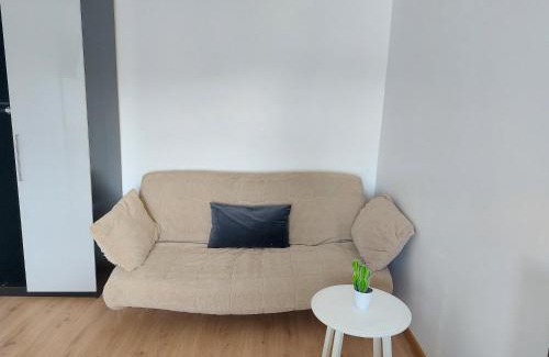 Sector 1 Apartment | Piata Victoriei Arcul de Triumf Studio Apartment