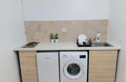 Sector 1 Apartment | Piata Victoriei Arcul de Triumf Studio Apartment