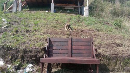 Guangopolo Other | Picnic del Ilalo