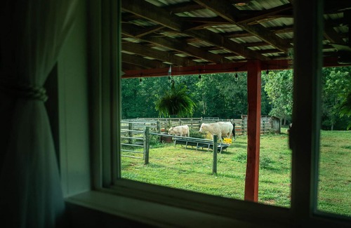 Morganton Apartment | Picturesque Cottage on a Beautiful Farm