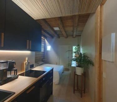 Muurame Apartment | Pieni asunto maalla navettarakennuksessa.