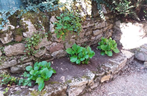 Saint-Maurice-les-Chateauneuf House | Pigeonnier du 18ème : un Cocon Dans la Verdure