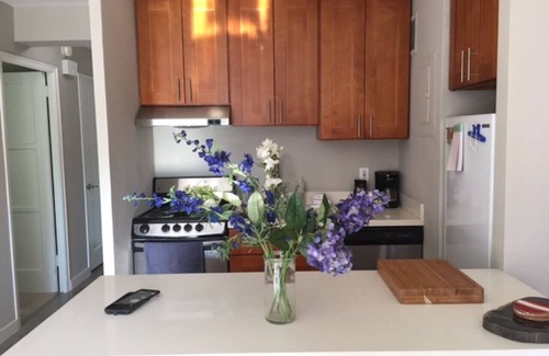 Downtown Seattle Condo | Pike Place , Convention Center, Cap Hill, Walk
