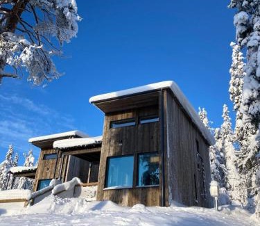 Syote Apartment | Pikkuhukka