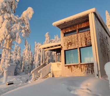 Syote Apartment | Pikkuhukka