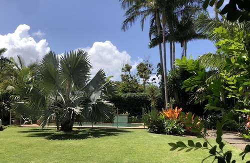 Coolum Beach Apartment | Pillows & Paws Pet Friendly Stays