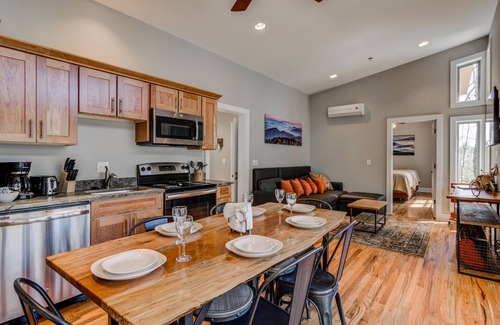 Pisgah Forest Cabin | PILOT COVE 1 BR Cabin - Modern Luxury w/Nature!