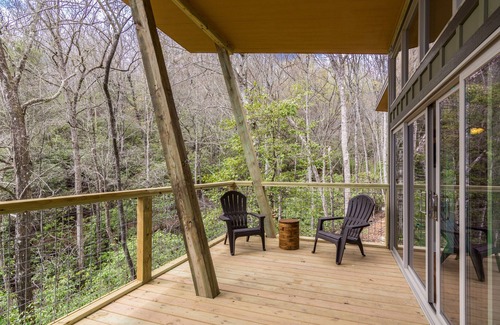 Pisgah Forest Cabin | PILOT COVE Studio Cabin - Modern Luxury w/Nature!