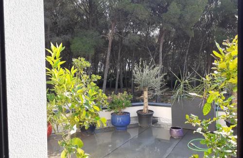 Balaruc-les-Bains Bed & Breakfast | Pin D'Epice