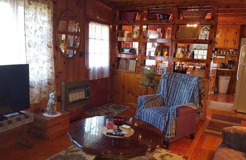 Fort Valley Cabin | Pine Cone Cabin at Fort Valley