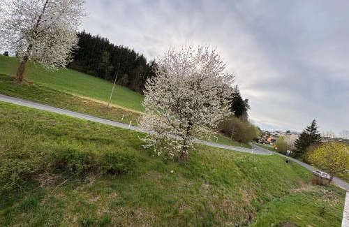 Eschenbach in der Oberpfalz Apartment | Pine Retreat - near Rußweiher