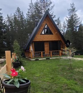 Zabljak Ski Chalet | Pine forest-White